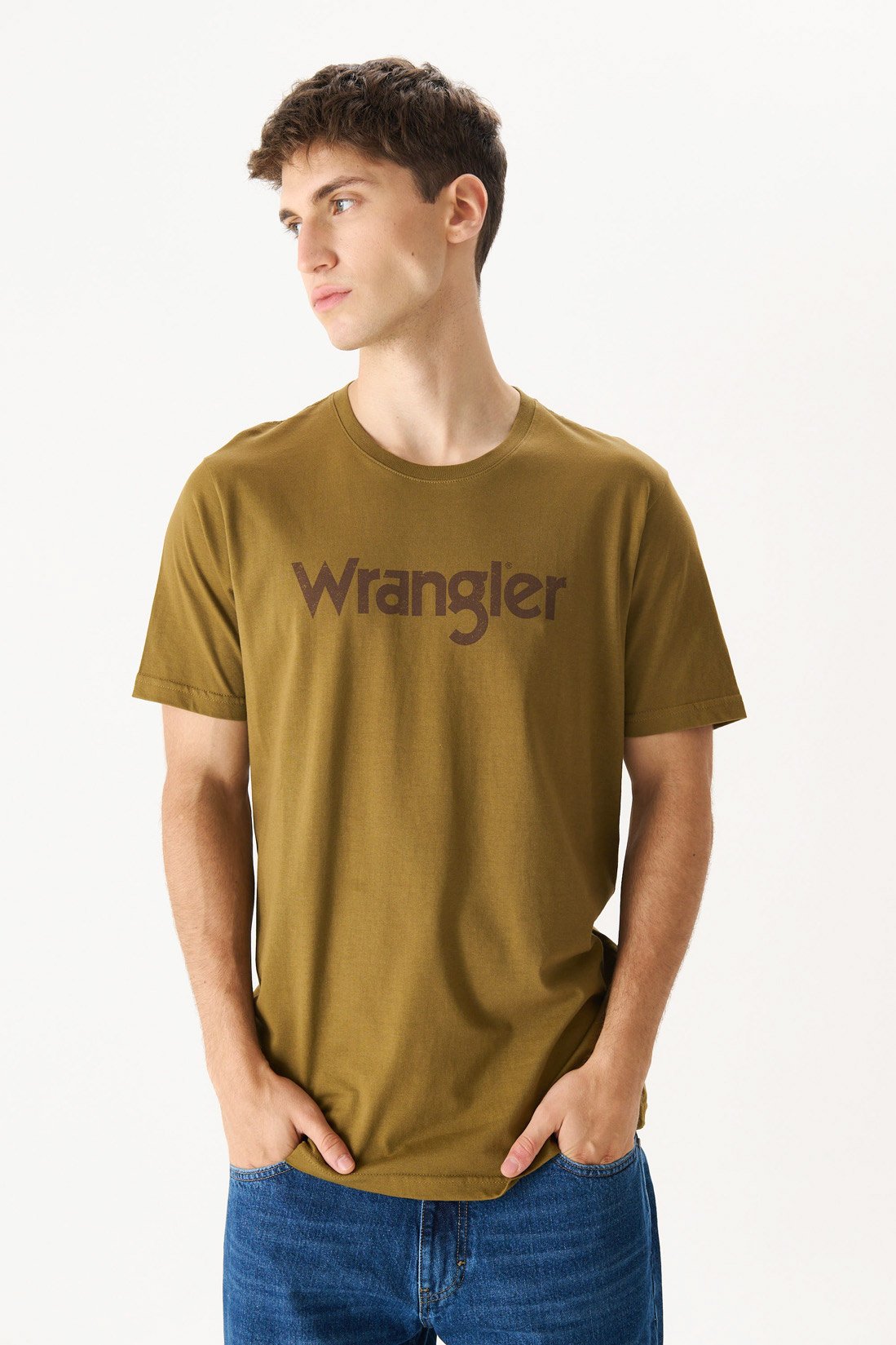 Remera Vintage SS